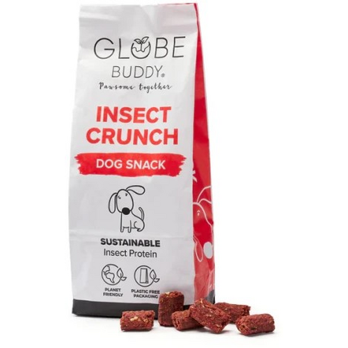 Globe Buddy Insect Chrunch