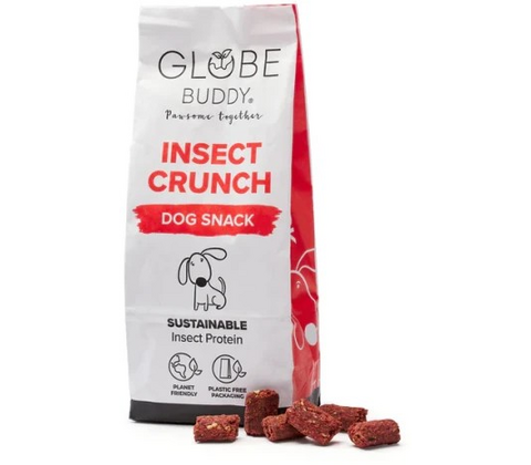 Globe Buddy Insect Chrunch