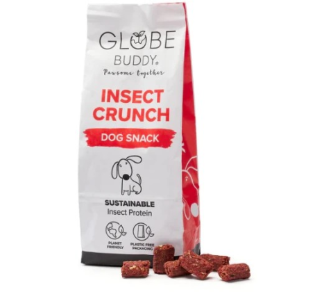 Globe Buddy Insect Chrunch