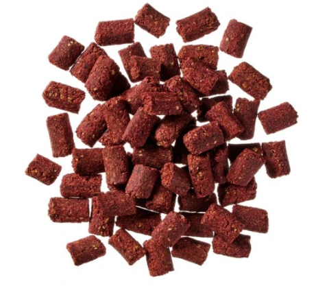 Globe Buddy Insect Chrunch