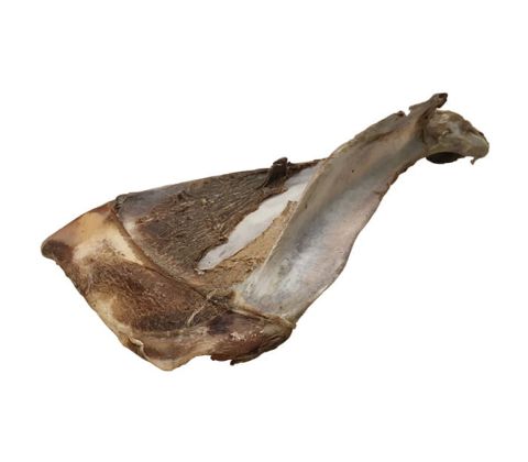 Tikki hjorte skulderblad
