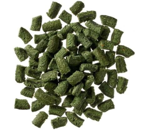 Globe Buddy Spirulina Chrunch