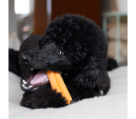 Yaki Gulerod 70-75g M