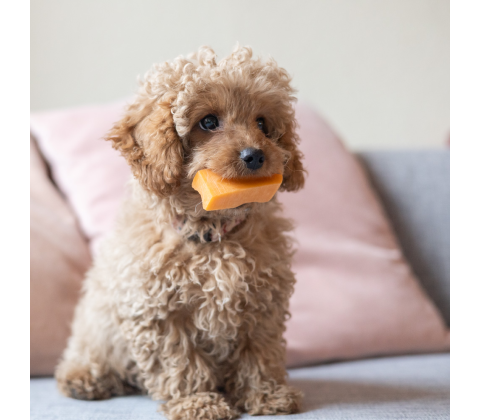 Yaki Gulerod 30-35g S