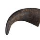 Whesco Buffalo horn 2 stk