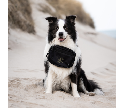 DOGCOACH BÆLTETASKE BEETLE MARLEY