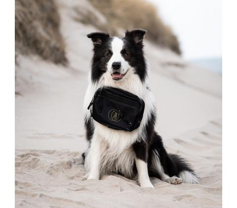 DOGCOACH BÆLTETASKE BEETLE MARLEY