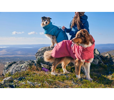 Hurtta Expedition Parka II hundedækken
