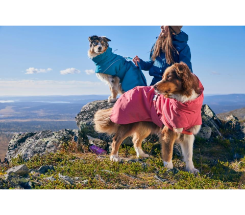 Hurtta Expedition Parka II hundedækken