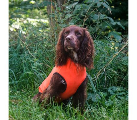 Siccaro Pro-tect vest