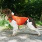 Siccaro Pro-tect vest