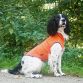 Siccaro Pro-tect vest
