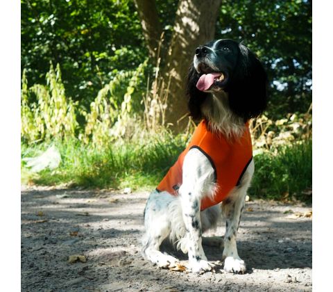 Siccaro Pro-tect vest