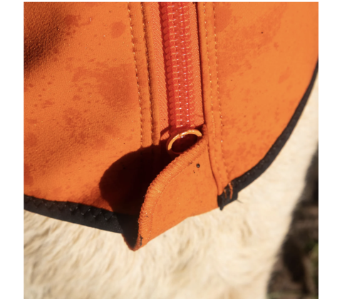 Pro-tect pro medium dogs size 4