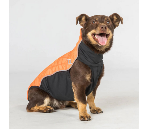 Back on Track Eddie high visibility jumper orange