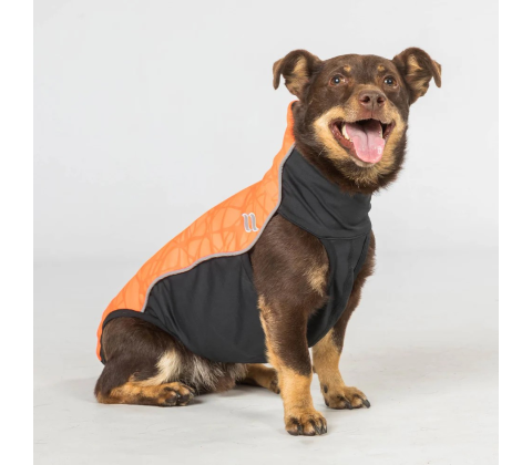 Back on Track Eddie high visibility jumper orange