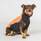 Back on Track Eddie high visibility jumper orange