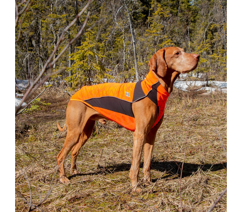 Back on Track Eddie high visibility jumper orange