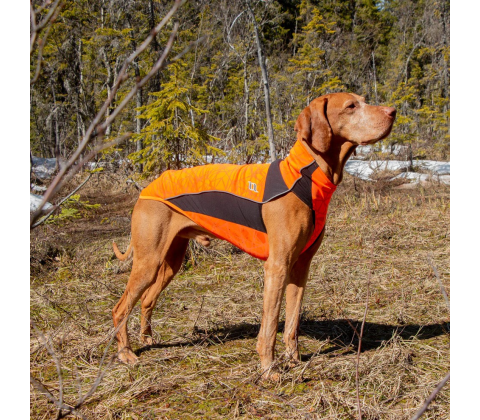 Back on Track Eddie high visibility jumper orange