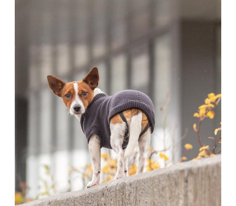 Trixie CityStyle Berlin pullover