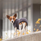 Trixie CityStyle Berlin pullover