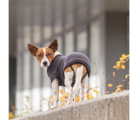 Trixie CityStyle Berlin pullover