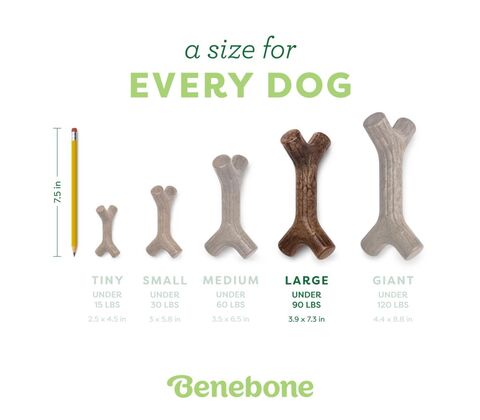 Benebone Stick tyggelegetøj med bacon-smag Medium: 16,8x9,4x9,4 cm (bxdxh)