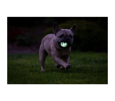Chuckit! Air Glow Fetch Ball(2-pack)