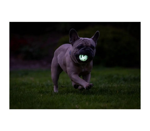 Chuckit! Air Glow Fetch Ball(2-pack)