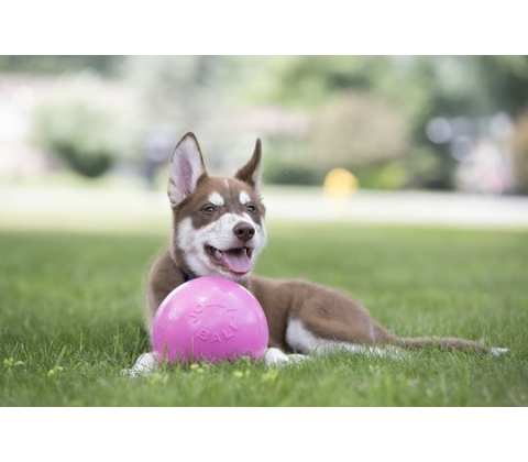 Jolly Ball Bounce-n Play 15cm Pink Bubble Gum