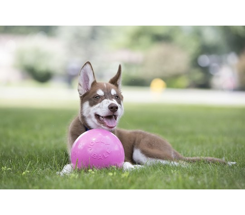 Jolly Ball Bounce-n Play 15cm Pink Bubble Gum