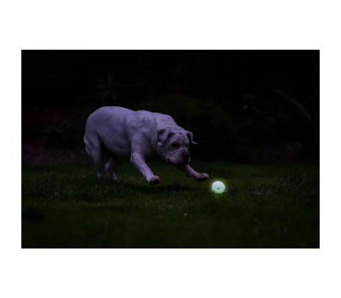 Chuckit! Air Glow Fetch Ball M