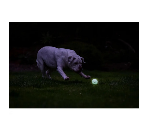 Chuckit! Air Glow Fetch Ball M