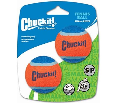 CHUCKIT TENNIS BOLD 