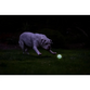 Chuckit! Air Glow Fetch Ball(2-pack)