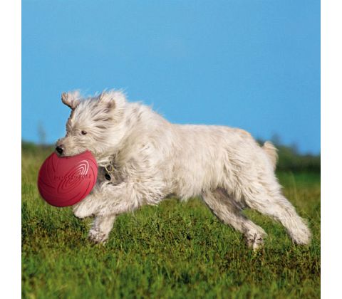 Frisbee i Naturgummi - kan flyde