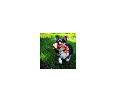 Kong Winders Fox 21x4x4 CM