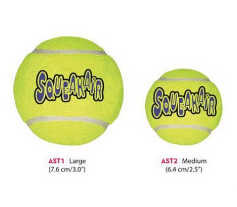 AIRKONG Squeaker Tennisbolde