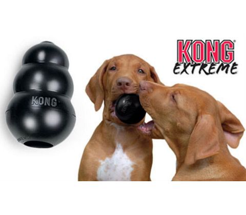 KONG Extreme Original, Sort