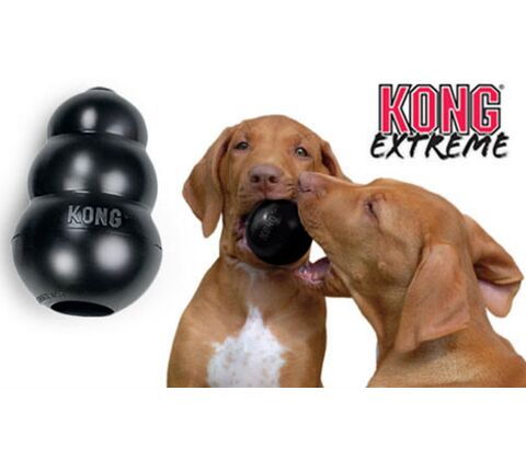 KONG Extreme Original, Sort