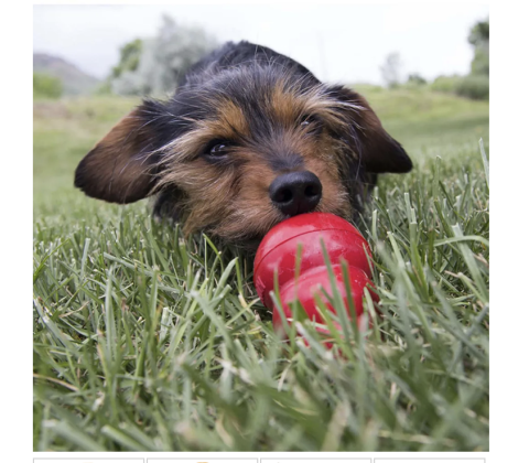 Kong Easy Treat Cheddar Cheese 