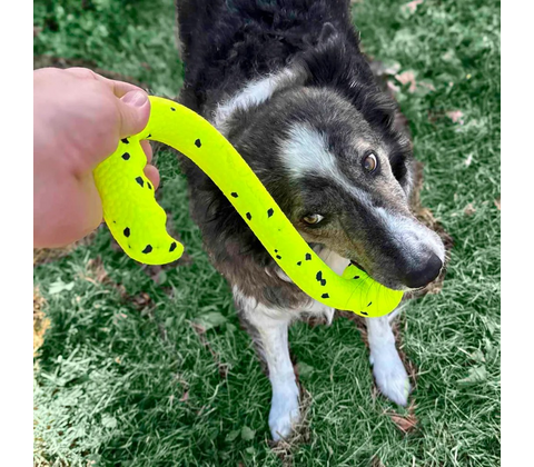 Kong Reflex Tug 'N Fetch