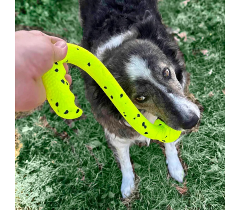 Kong Reflex Tug 'N Fetch