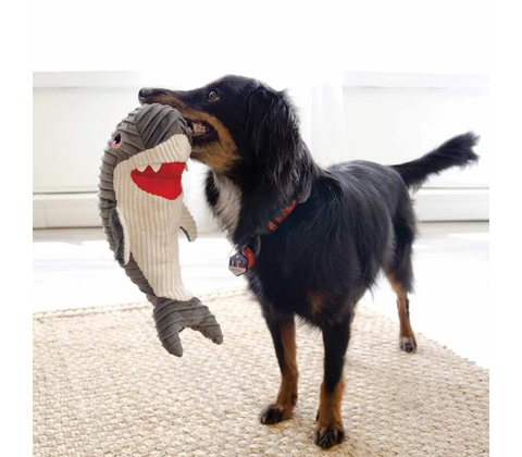 Kong Cute seas Rufflez Shark M/L