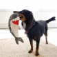 Kong Cute seas Rufflez Shark M/L