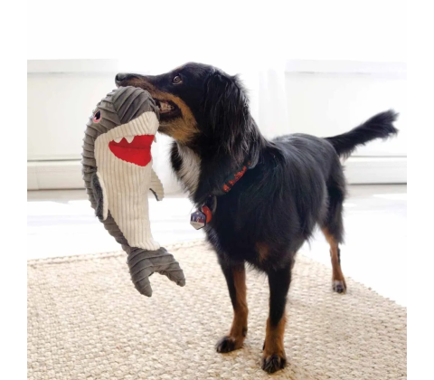 Kong Cute seas Rufflez Shark M/L