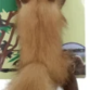 Whesco Plys ræv