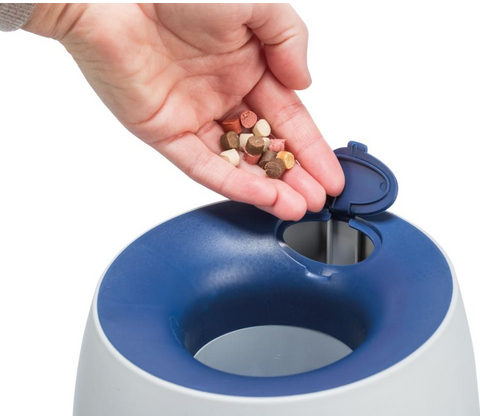 Dog Activity Ball & Treat strategy game
