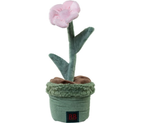 B&B Pawtanic Garden Blomst