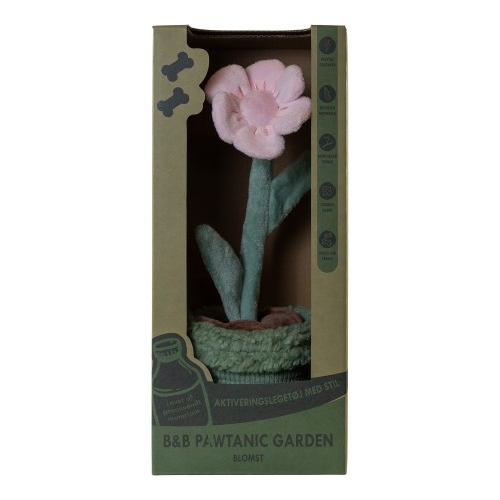 B&B Pawtanic Garden Blomst
